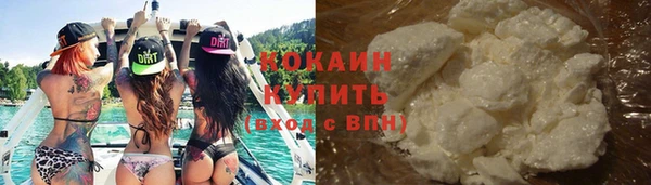 индика Верея
