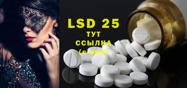 индика Верея