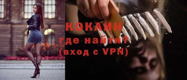 индика Верея