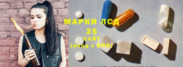 индика Верея