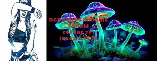 индика Верея